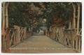 Primary view of [Postcard of Cotton Palace Park Bridge]