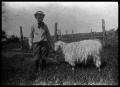 Photograph: [Boy with a Goat]