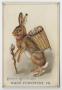 Thumbnail image of item number 1 in: '[Easter Greetings Card]'.