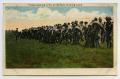 Thumbnail image of item number 1 in: '[Postcard of Troops Stacking Arms]'.
