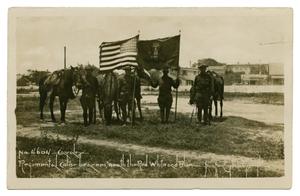 Primary view of object titled '[Photograph of Soldiers Holding Flags]'.