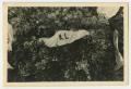 Photograph: [Photograph of a Banner Lying on a Bed of Flowers]