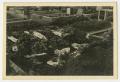 Photograph: [Photograph of a Large Bed of Flowers in a Graveyard]