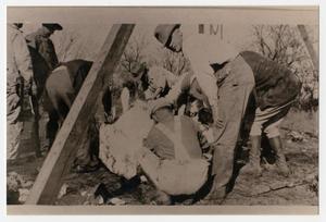 Primary view of object titled '[Photograph of Men Skinning a Buffalo]'.