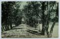 Primary view of [Postcard with a View Looking Down a Road Between Trees]