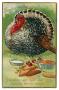 Primary view of [Thanksgiving Postcard to Mamie Collins from Katharine E. Wheatly, November 24, 1908]