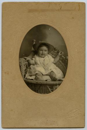 Primary view of object titled '[Portrait of a Baby in a Wicker Chair]'.