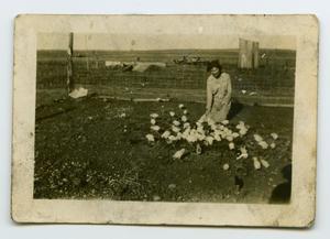 Primary view of object titled '[Photograph of a Woman Feeding Chickens]'.