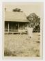 Photograph: [Photograph of Fanny Lou Taber at the Back Farm]