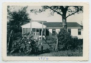 Primary view of object titled '[Photography of Lee and Nelle Turney's Backyard]'.