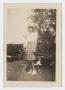 Primary view of [Photograph of an Unknown Girl by a Tree]