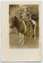 Thumbnail image of item number 1 in: '[Photograph of an Unknown Boy on a Pony]'.