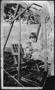 Photograph: [Photograph of Mary Jones sitting in a wooden swing]