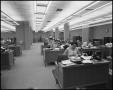 Photograph: [Office Building Interior in Beaumont]
