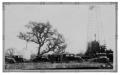 Primary view of First Oil Well in Bee County: Maggie Ray McKinney 1929
