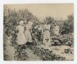 Photograph: [Photograph of Family in Cotton Field]