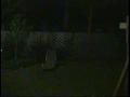 Primary view of [Pangburn Family Videos, No. 27 - Halloween 2002]