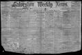 Newspaper: Galveston Weekly News (Galveston, Tex.), Vol. 18, No. 37, Ed. 1, Tues…