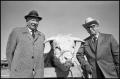 Photograph: [Photograph of Tom Medders Sr. and Prize Bull]