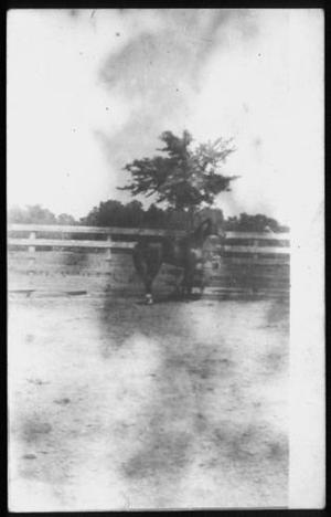 Primary view of object titled '[Postcard image of a horse standing near a wooden fence]'.