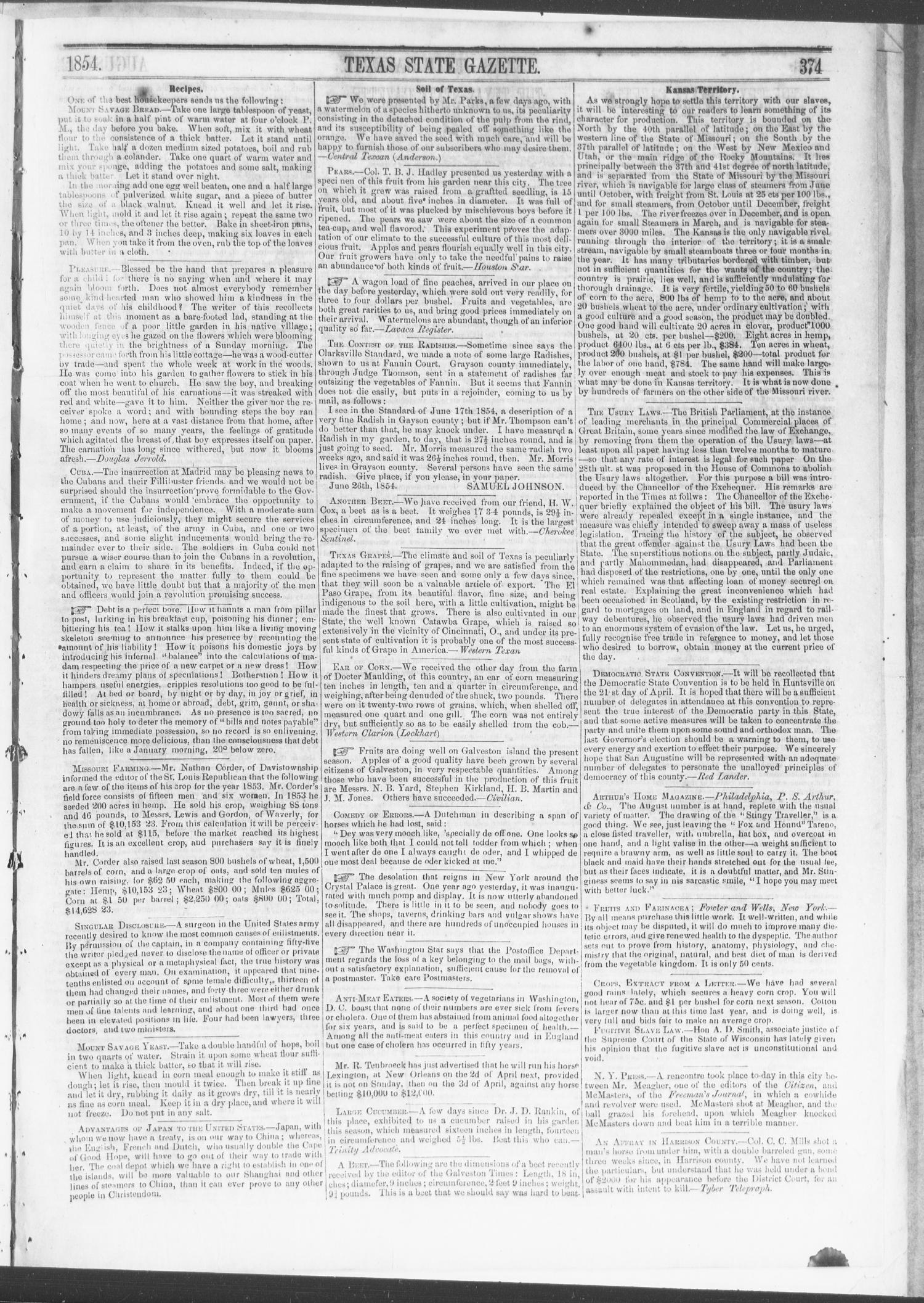 Texas State Gazette. (Austin, Tex.), Vol. 5, No. 51, Ed. 1, Saturday, August 12, 1854
                                                
                                                    [Sequence #]: 3 of 8
                                                