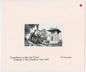Primary view of object titled '[Train in Shreveport, Louisiana]'.
