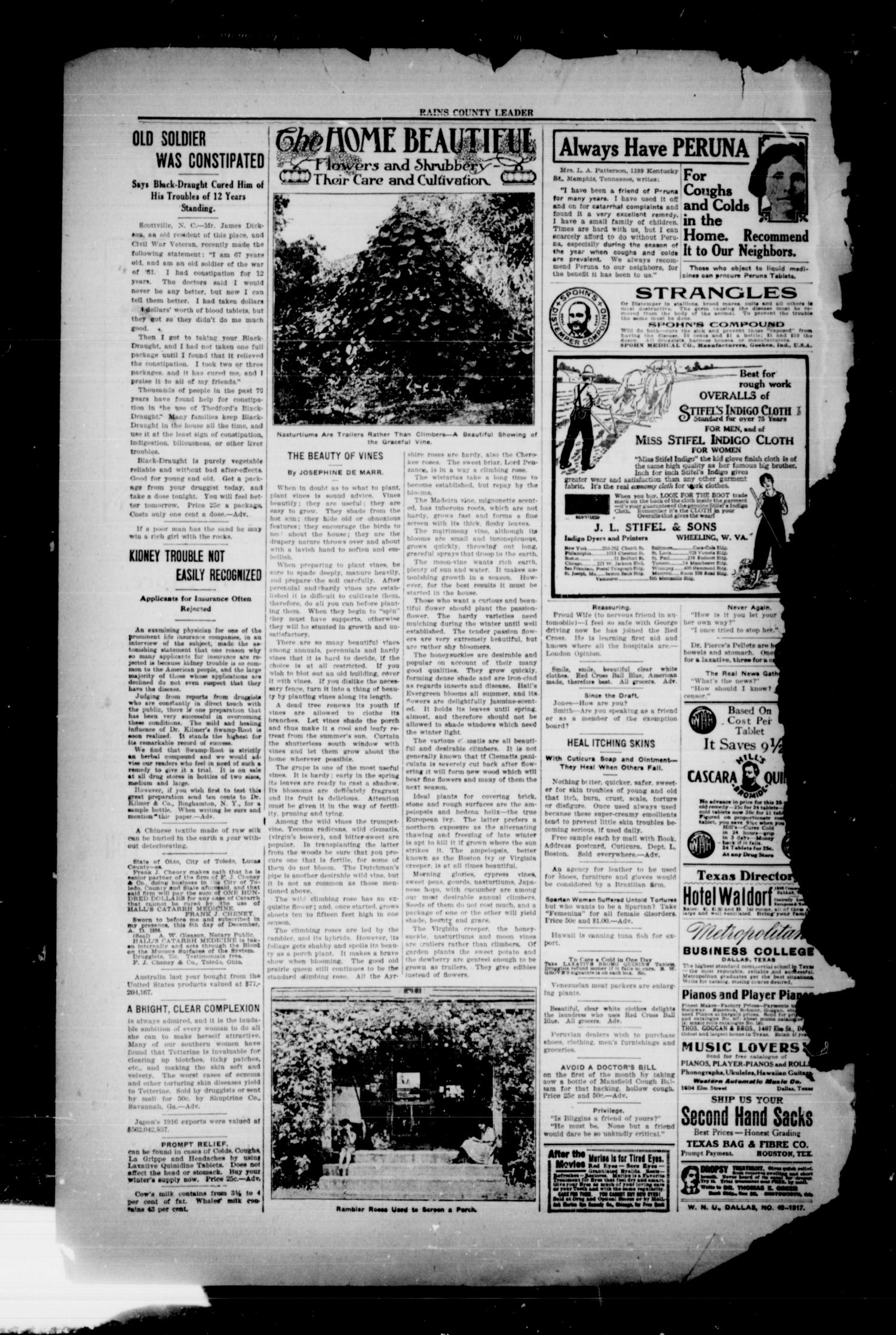 Rains County Leader (Emory, Tex.), Vol. 30, No. 49, Ed. 1 Friday, December 7, 1917
                                                
                                                    [Sequence #]: 2 of 8
                                                