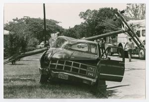 Primary view of object titled '[Fallen telephone pole on truck]'.