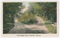 Thumbnail image of item number 1 in: '[Postcard of Forked Road in Boerne, Texas]'.