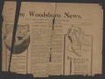 Thumbnail image of item number 1 in: 'The Woodsboro News. (Woodsboro, Tex.), Vol. 3, No. [6], Ed. 1 Friday, December 3, 1915'.