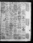 Thumbnail image of item number 3 in: 'The Daily Ranchero. (Brownsville, Tex.), Vol. 3, No. 4, Ed. 1 Sunday, September 1, 1867'.