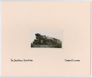 Primary view of object titled '[T&P Train #901 3]'.