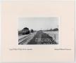 Photograph: [Train Tracks in Longview, Texas]