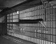 Photograph: [Interior View of a Goliad County Jail Cell]