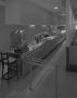 Primary view of [Tarrytown Cafeteria Serving Line]