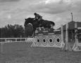 Photograph: [Horse Jumping Over a Hurdle]