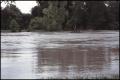 Photograph: [Guadalupe River During Flood]