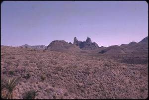 Primary view of object titled '[Mule Ears in Big Bend National Park]'.