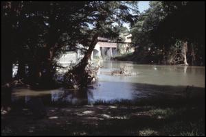 Primary view of object titled '[Max Starcke Park Dam Flooding 2]'.