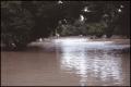 Photograph: [Glen Cove During Flooding]