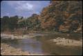 Primary view of [Autumn Leaves Along Guadalupe River]