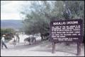 Photograph: [Boquillas Crossing and Donkeys]