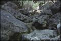 Primary view of [Pedernales Falls 1]