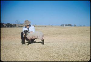 Primary view of object titled '[A. M. Fielder With a Sheep]'.