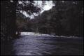 Photograph: [Guadalupe River in Gruene, Texas]