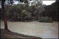 Photograph: [Guadalupe River Flood at River Oak]