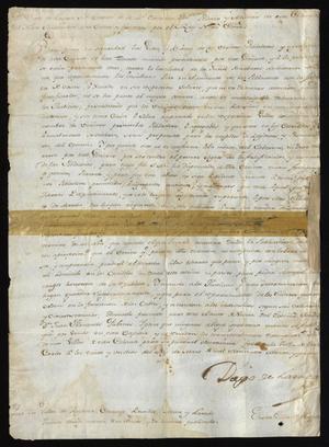 Primary view of object titled '[Decree Concerning Lands from Diego de Lasaga]'.
