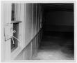 Photograph: [Inside Wall of a Building]