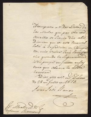 Primary view of [Message from Juan José Llanos to Ildefonso Ramón, July 28, 1819]