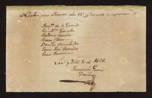 Primary view of object titled '[Document Naming Electors]'.